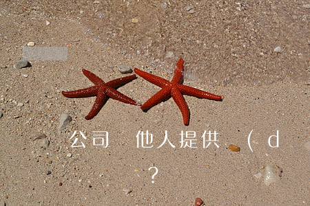 公司為他人提供擔(dān)保有哪些要求？